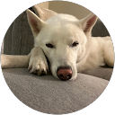 Karen Jimenez profile picture